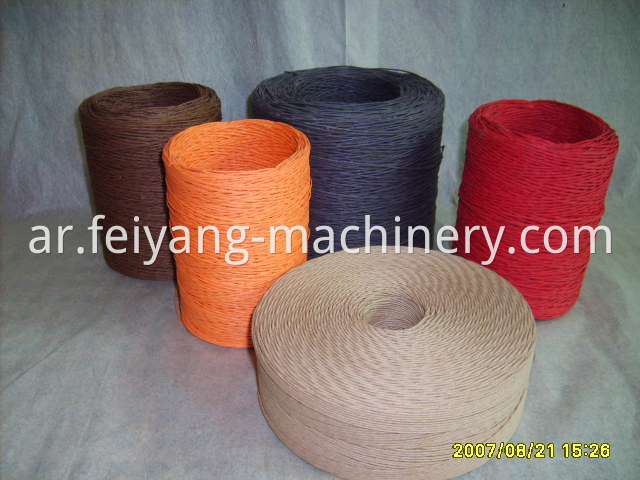 Paper Bags Colorful Twisted Paper Rope